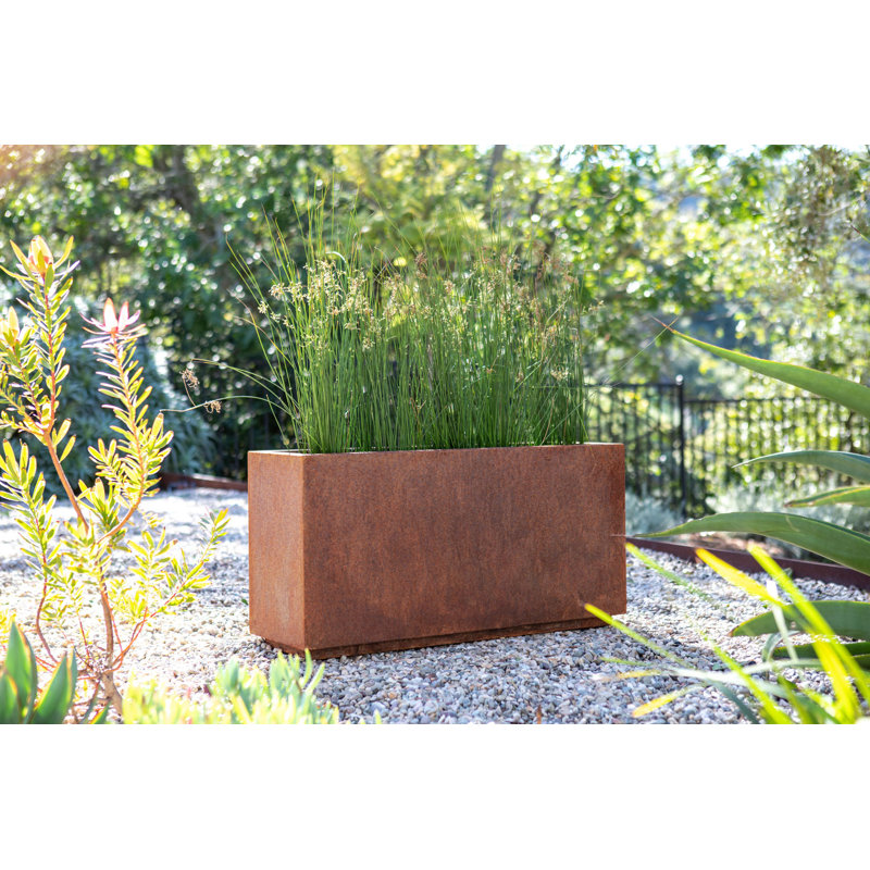 Metallic Series Corten Steel Planter Box & Reviews Birch Lane